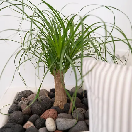 דירה Amerikanos *